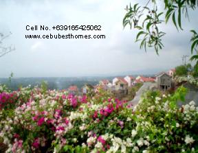 buy house and lot in cebu - landscaped gardens